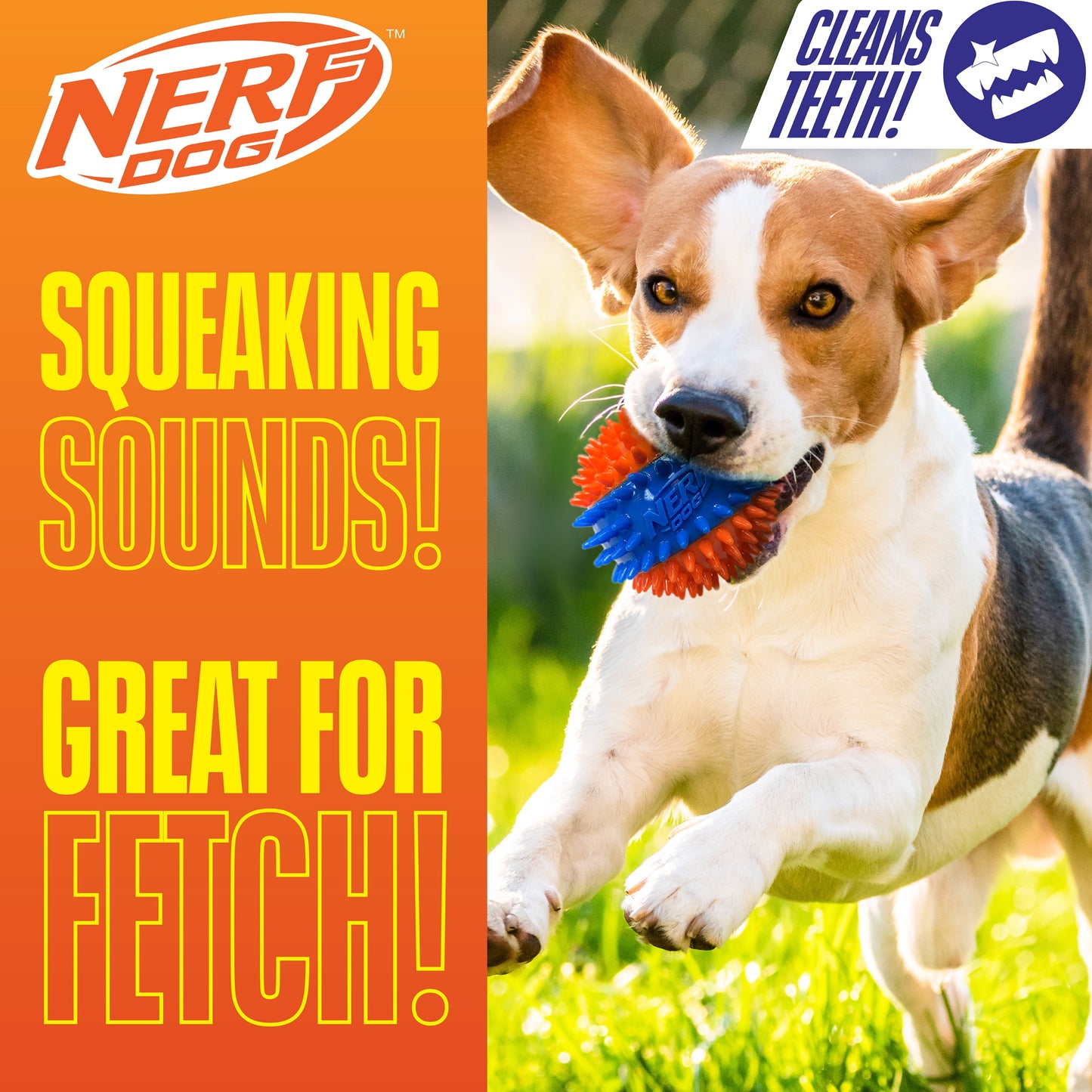 Squeaky Dental Spike Ball Dog Toy, Orange/Blue, 2.7 Inch