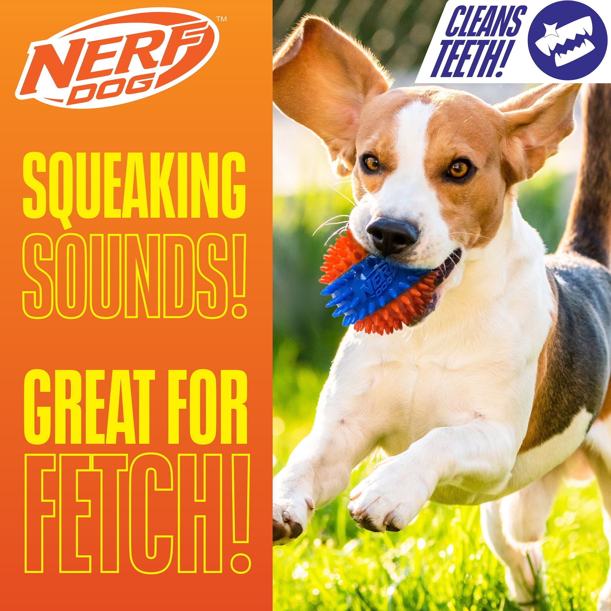 Squeaky Dental Spike Ball Dog Toy, Orange/Blue, 2.7 Inch