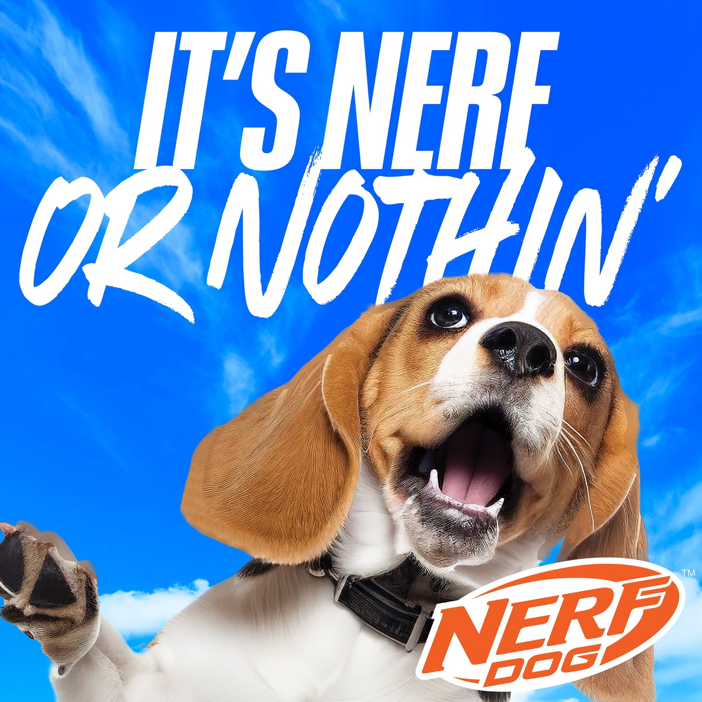 Squeaky Dental Spike Ball Dog Toy, Orange/Blue, 2.7 Inch